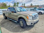 Ford F-150 2013
