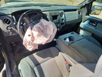 Ford F-150 2013