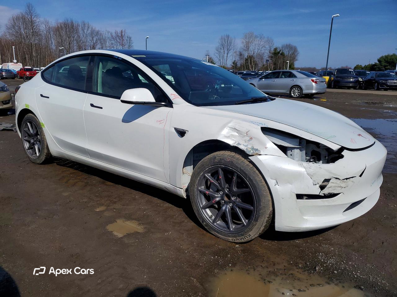 Tesla Model 3 2023