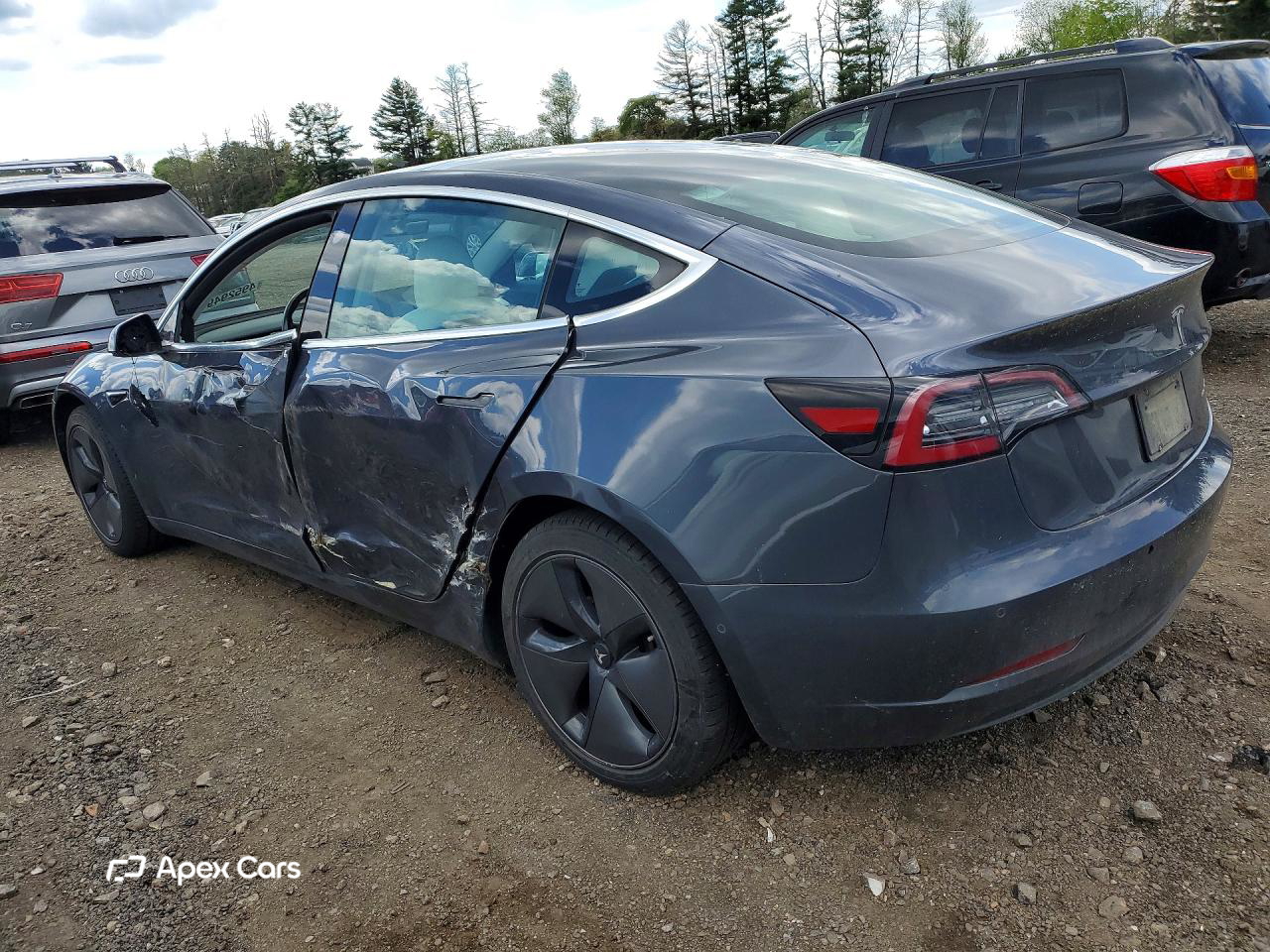 Tesla Model 3 2019