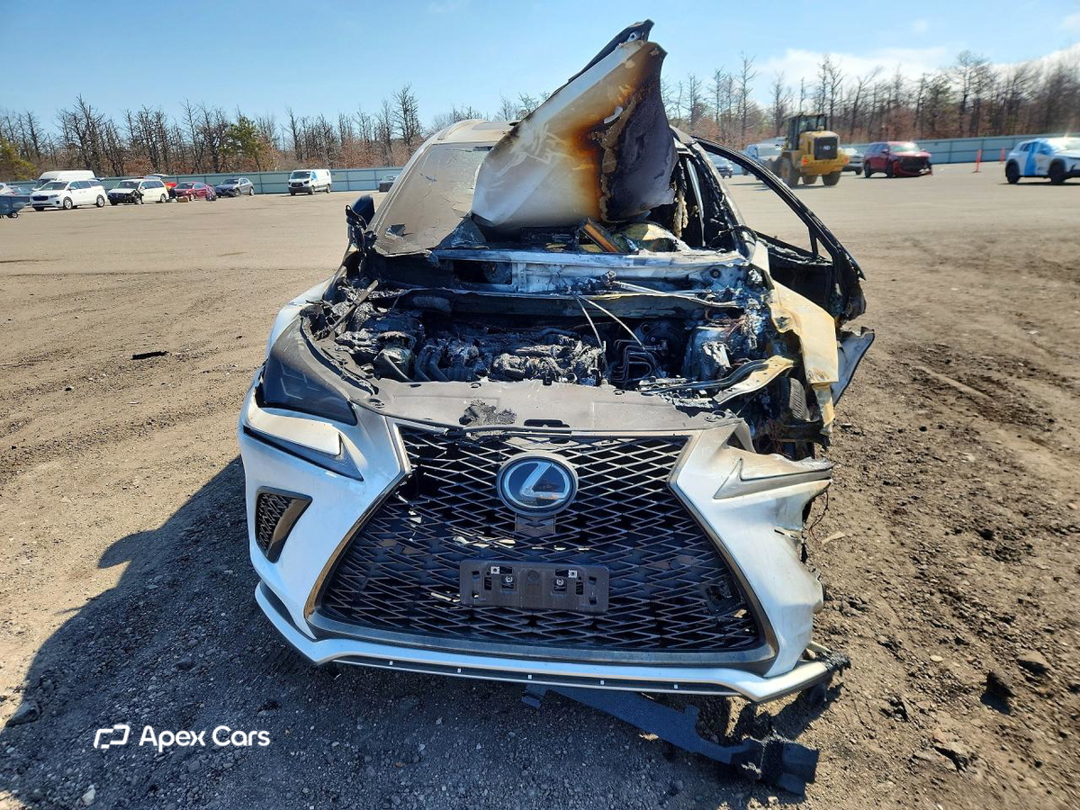Lexus NX 2021