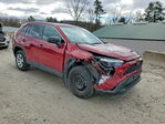 Toyota RAV 4 2024