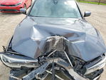BMW Series 3 2021