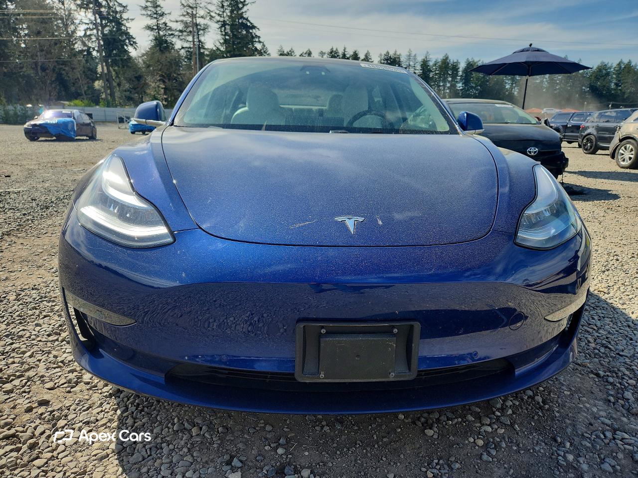Tesla Model 3 2018