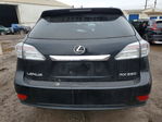 Lexus RX 2010