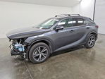 Lexus RX 2024