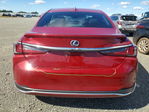 Lexus ES 2021