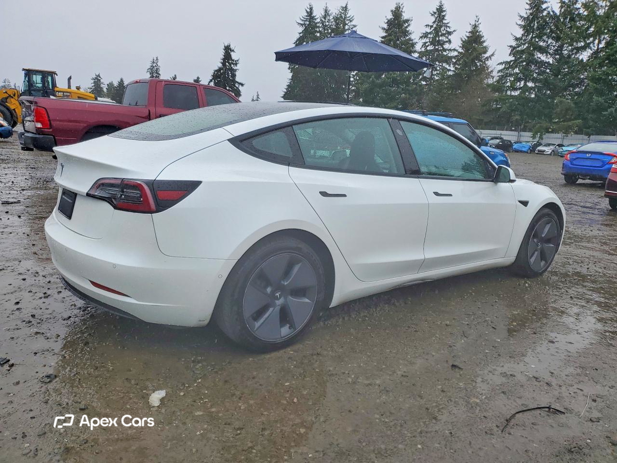 Tesla Model 3 2021