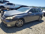 Lexus ES 2012