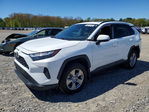 Toyota RAV 4 2022