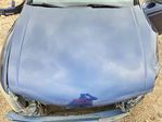 Honda Accord 2010