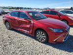 Lexus ES 2020