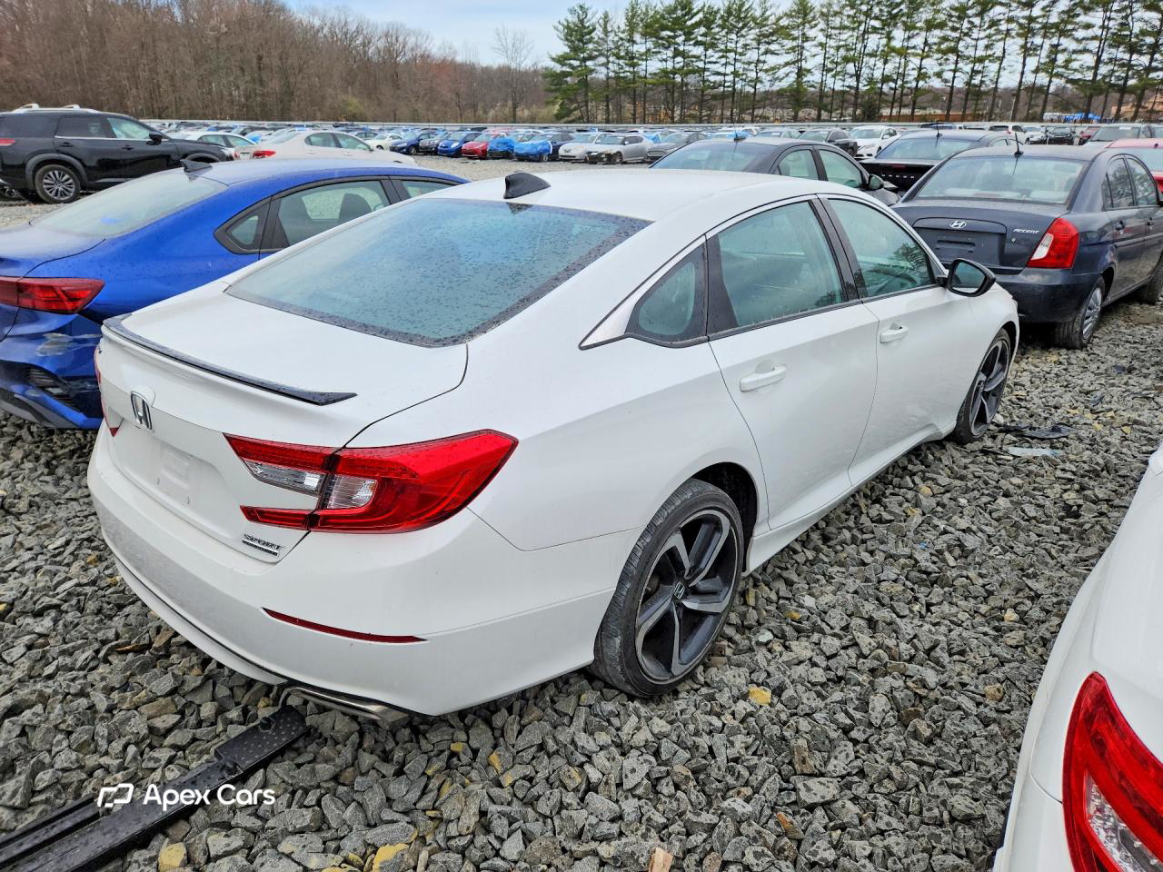 Honda Accord 2021