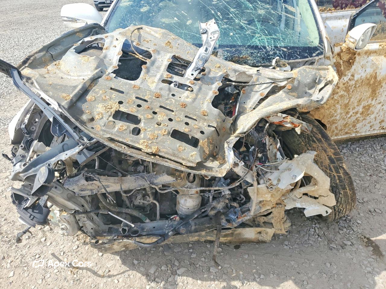 Lexus RX 2010