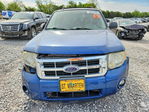 Ford Escape 2008