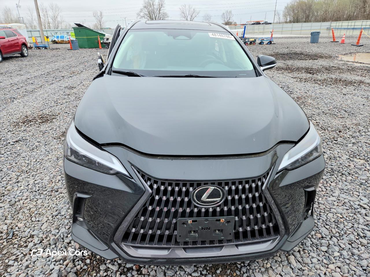 Lexus NX 2024