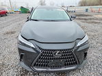 Lexus NX 2024