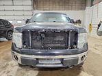 Ford F-150 2010