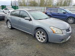 Nissan Maxima 2007