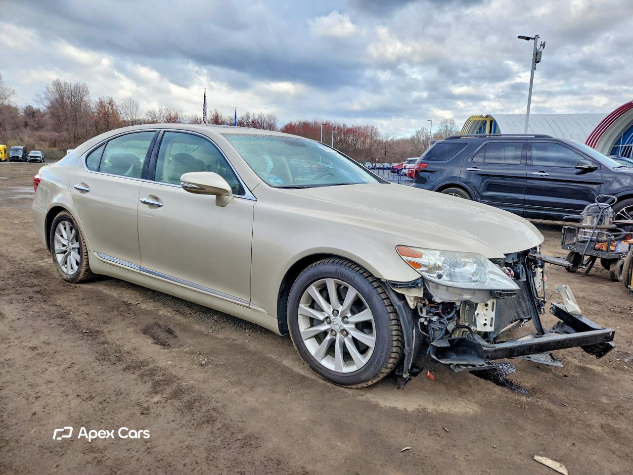 Lexus LS 2010