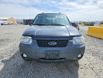 Ford Escape 2007