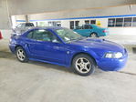 Ford Mustang 2004