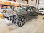 Lexus RX 2022