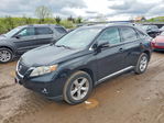 Lexus RX 2010