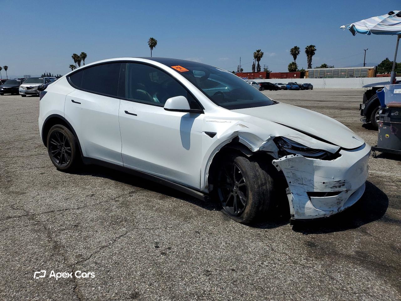 Tesla Model Y 2020