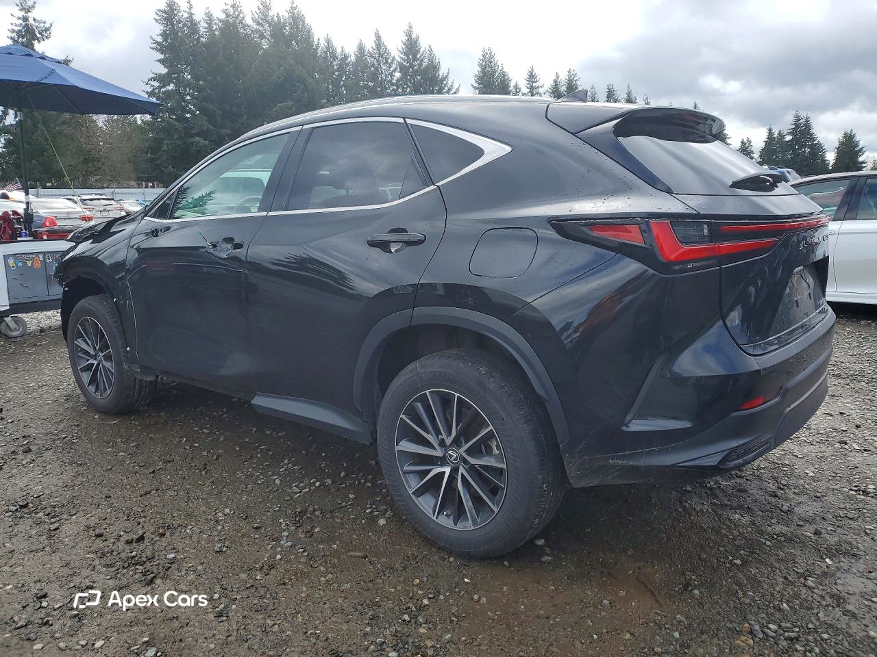 Lexus NX 2023