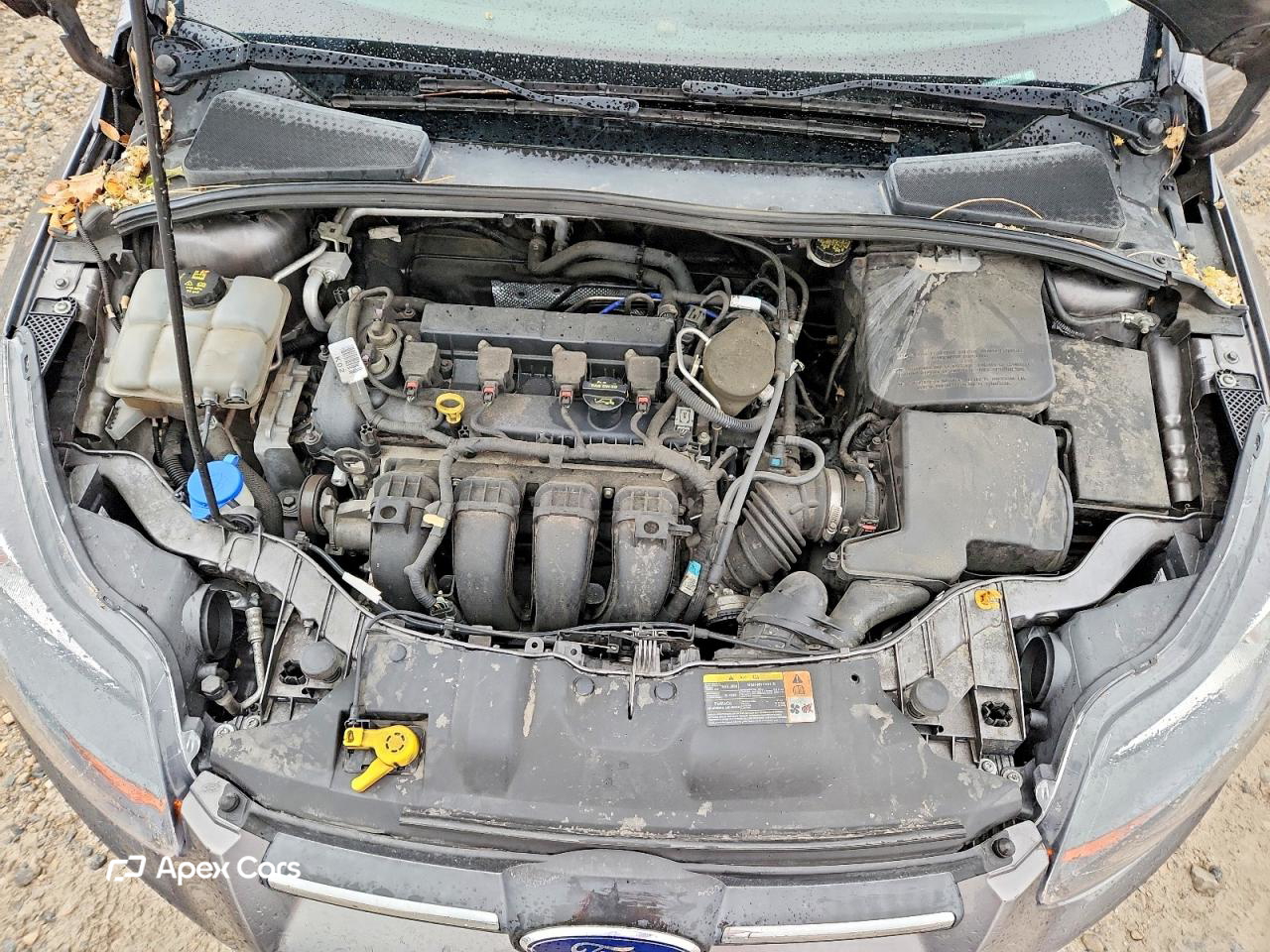 Ford Focus 2014