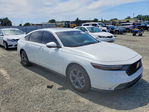Honda Accord 2024