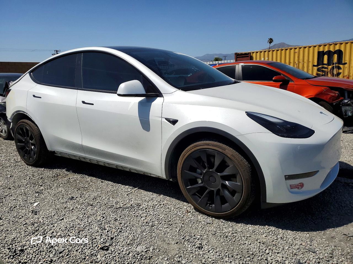 Tesla Model Y 2024