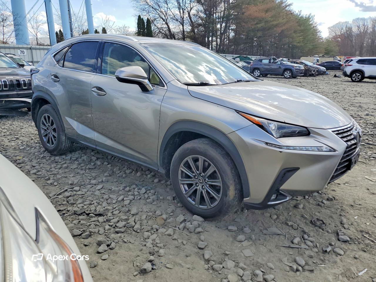Lexus NX 2019