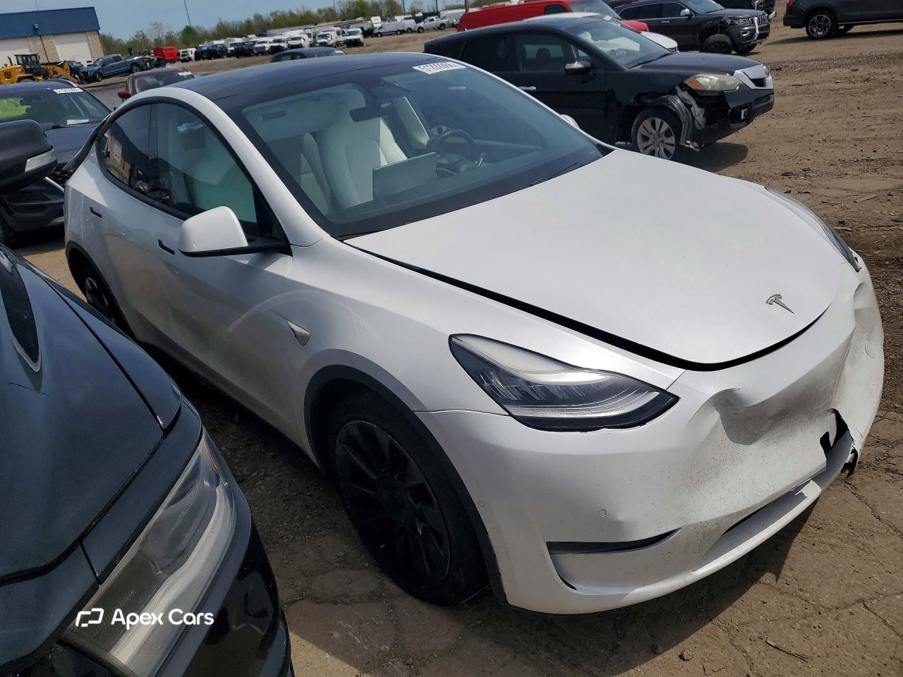 Tesla Model Y 2020