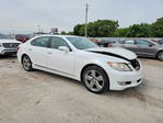 Lexus LS 2010