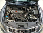 Honda Accord 2010