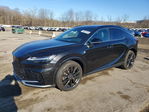 Lexus RX 2024