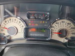 Ford Expedition 2010