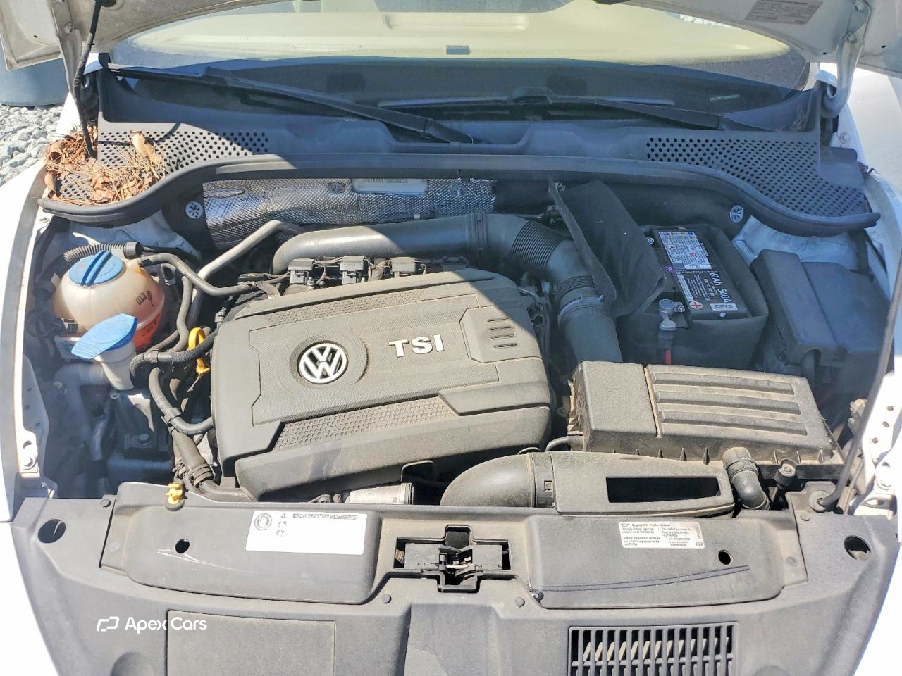 Volkswagen Beetle 2016