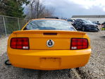 Ford Mustang 2007