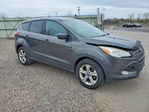 Ford Escape 2015