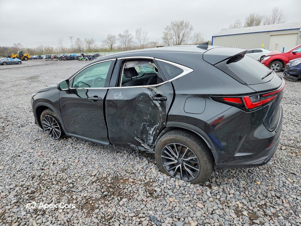Lexus NX 2024