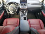Lexus NX 2020