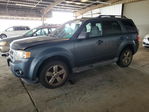 Ford Escape 2011