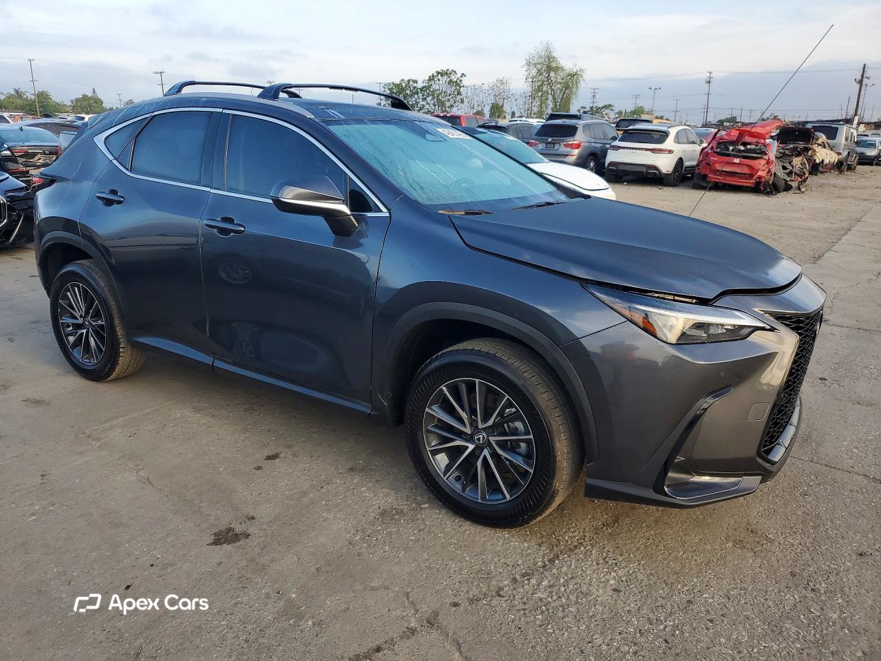 Lexus NX 2025