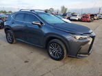 Lexus NX 2025