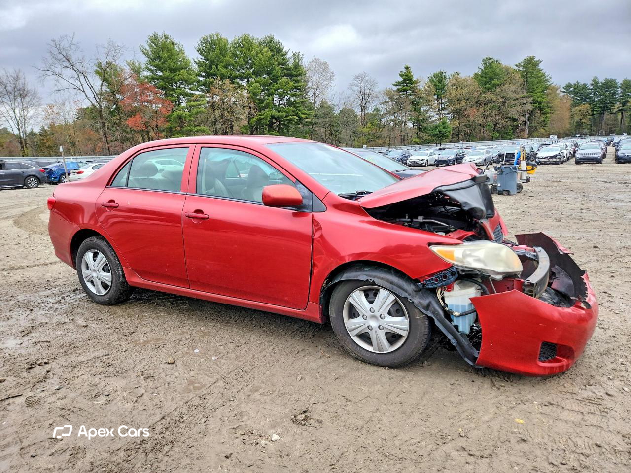 Toyota Corolla 2010