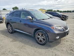 Lexus RX 2010