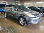 Ford Escape 2015